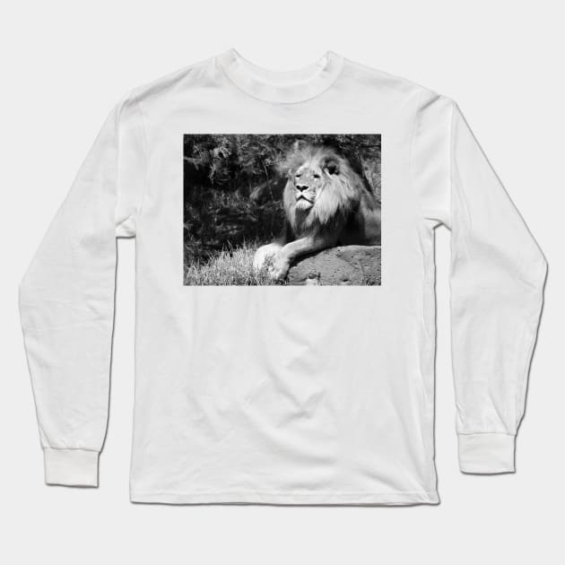 BW Lion Long Sleeve T-Shirt by MGphotoart